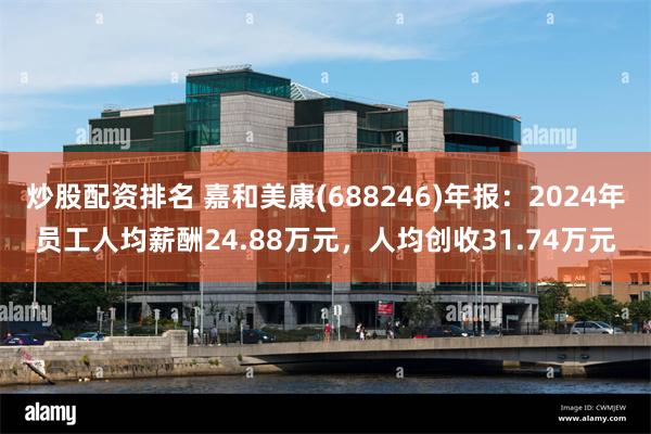 炒股配资排名 嘉和美康(688246)年报：2024年员工人均薪酬24.88万元，人均创收31.74万元