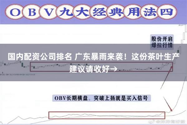 国内配资公司排名 广东暴雨来袭！这份茶叶生产建议请收好→