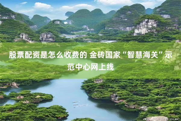 股票配资是怎么收费的 金砖国家“智慧海关”示范中心网上线
