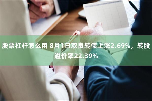 股票杠杆怎么用 8月1日双良转债上涨2.69%，转股溢价率22.39%