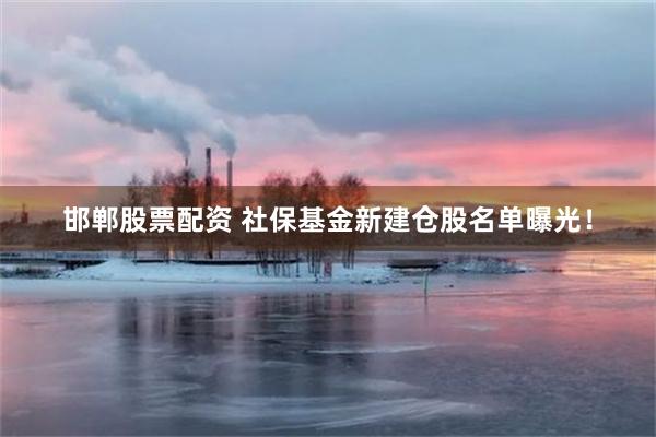 邯郸股票配资 社保基金新建仓股名单曝光！