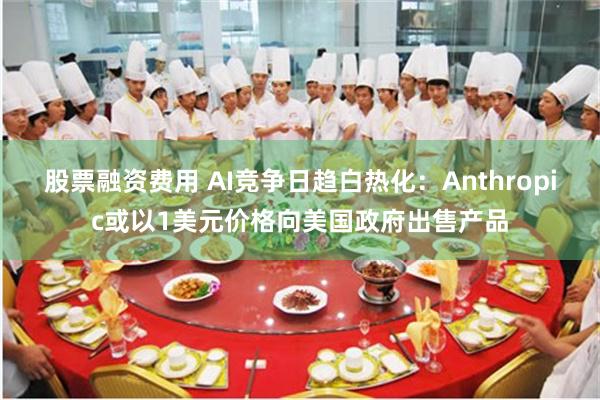 股票融资费用 AI竞争日趋白热化：Anthropic或以1美元价格向美国政府出售产品