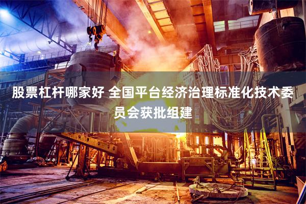 股票杠杆哪家好 全国平台经济治理标准化技术委员会获批组建