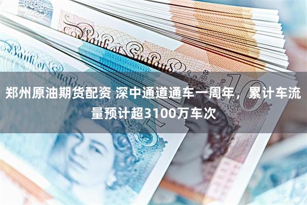 郑州原油期货配资 深中通道通车一周年，累计车流量预计超3100万车次