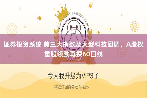 证券投资系统 美三大指数及大型科技回调，A股权重股领跌再探60日线