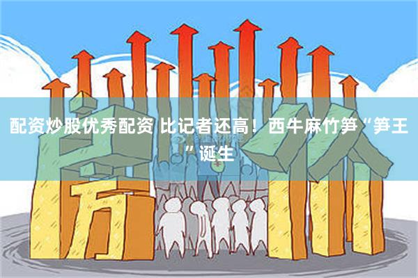 配资炒股优秀配资 比记者还高！西牛麻竹笋“笋王”诞生