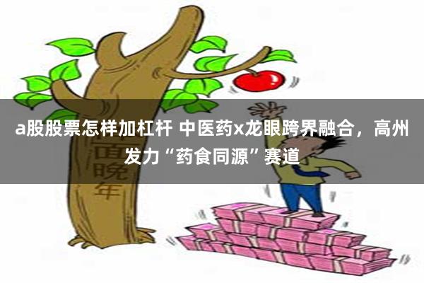 a股股票怎样加杠杆 中医药x龙眼跨界融合，高州发力“药食同源”赛道