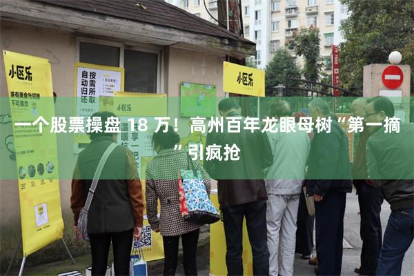 一个股票操盘 18 万！高州百年龙眼母树“第一摘”引疯抢