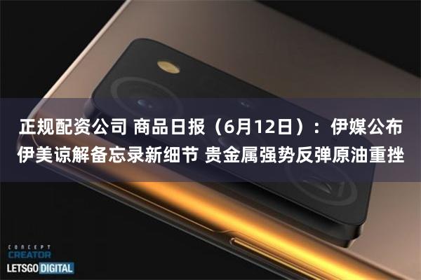 正规配资公司 商品日报（6月12日）：伊媒公布伊美谅解备忘录新细节 贵金属强势反弹原油重挫