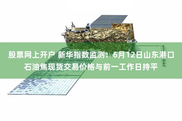股票网上开户 新华指数监测：6月12日山东港口石油焦现货交易价格与前一工作日持平