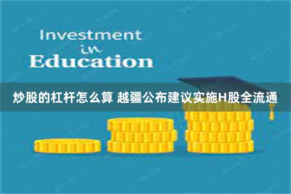 炒股的杠杆怎么算 越疆公布建议实施H股全流通