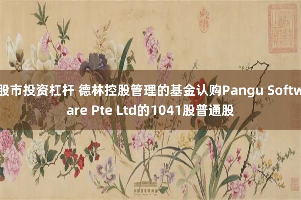 股市投资杠杆 德林控股管理的基金认购Pangu Software Pte Ltd的1041股普通股