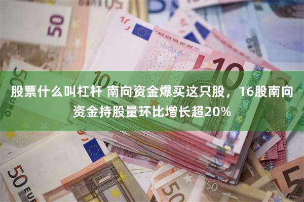 股票什么叫杠杆 南向资金爆买这只股，16股南向资金持股量环比增长超20%