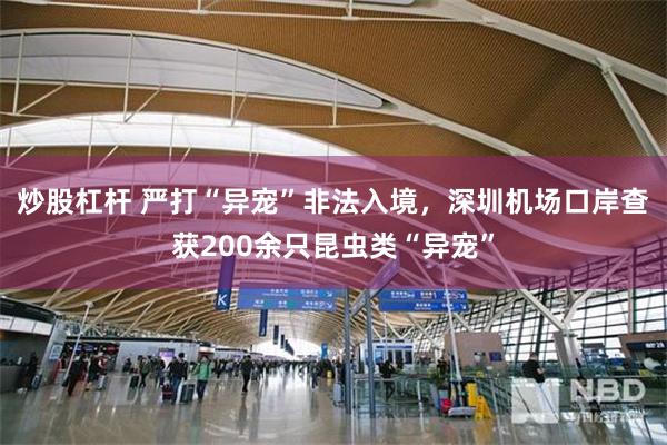 炒股杠杆 严打“异宠”非法入境，深圳机场口岸查获200余只昆虫类“异宠”