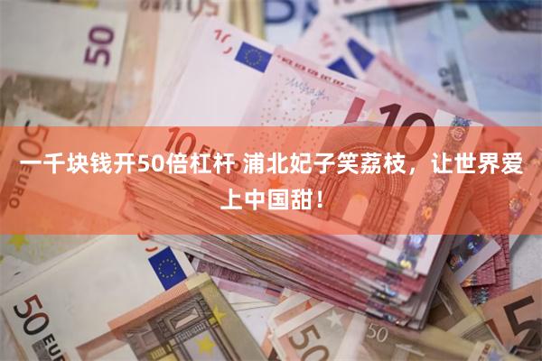一千块钱开50倍杠杆 浦北妃子笑荔枝，让世界爱上中国甜！