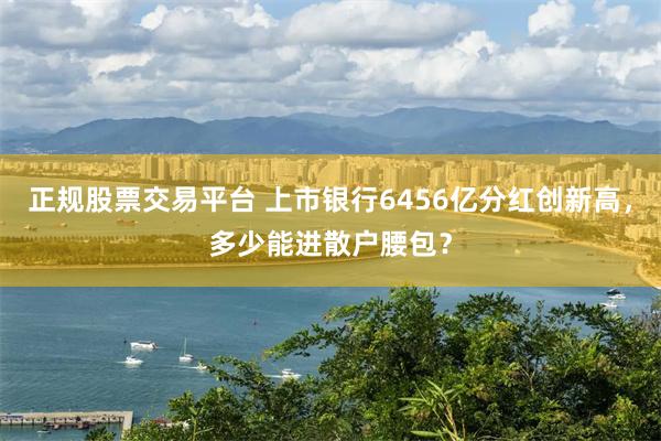 正规股票交易平台 上市银行6456亿分红创新高，多少能进散户腰包？