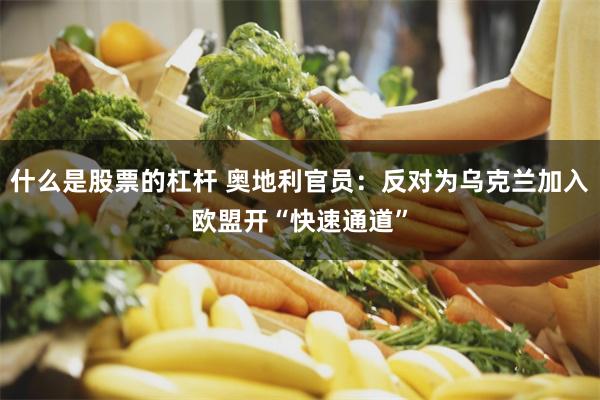 什么是股票的杠杆 奥地利官员：反对为乌克兰加入欧盟开“快速通道”
