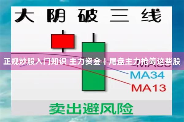 正规炒股入门知识 主力资金丨尾盘主力抢筹这些股
